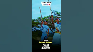 Imanaan Sii Harka Jira Qeerroo Sabaaf Lolii 