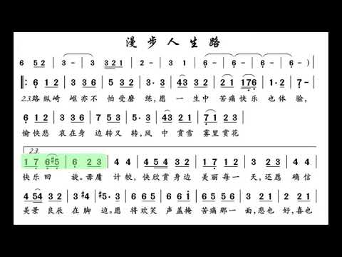 漫步人生路 G调伴奏 (加小节指示，供参考）Walking the path of life - instrumental in G with measure marks