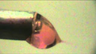 Taylor Cone changes with Voltage