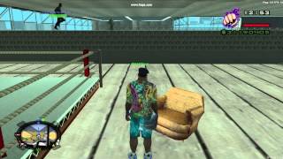 cit2.net | Armor Bug