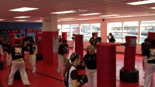 Saturday morning Adult Beginner Kickboxing Class at Tiger Schulmann's Mixed Martial Arts Stamfo