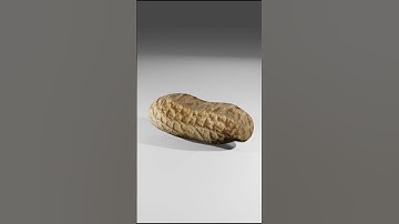 Peanut turntable #shorts #cg #3d #blender #blender3d #animation