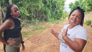 Download Lagu DOUBLE ENTAGNEW JAMAICAN MOVIE MP3