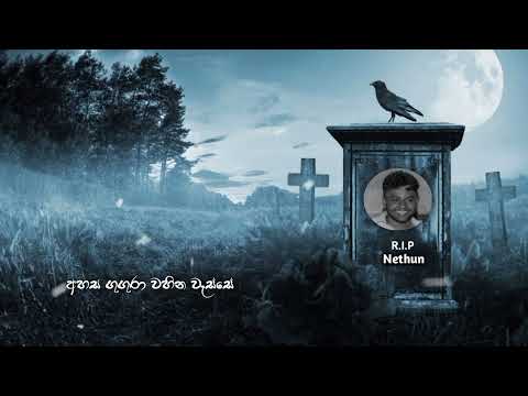 Awasan Gamana ( අවසන් ගමන ) | LIYAN Official Lyrics Video