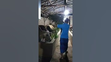 Sederhana banget anggota DPR RI Selamet Ariyadi Dapil Madura