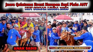 ANAK S4D1S Dan PELOR LANGSUNG MARCOWET Juara Galatama Lomba Karapan Sapi Piala AHY 2026