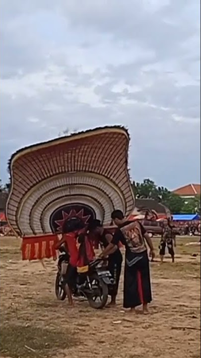 Atraksi Reog naik motor #shorts #reog #reogponorogo