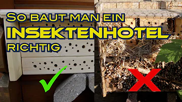 Was muss man beachten wenn man ein Insektenhotel baut?