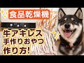 【食品乾燥機】犬の牛アキレスの作り方：犬の手作りおやつ【プチマレンギ】