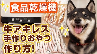 【食品乾燥機】犬の牛アキレスの作り方：犬の手作りおやつ【プチマレンギ】