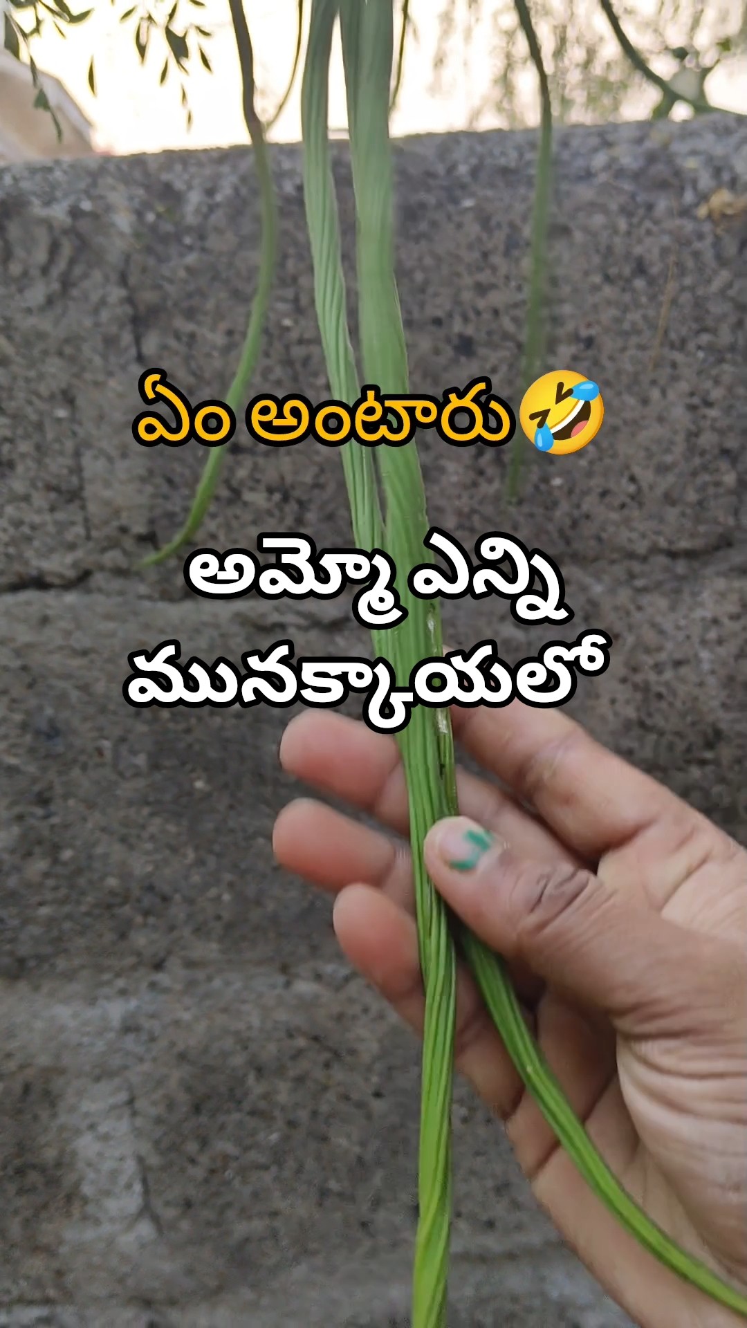 ✌️నేటి నా స్టేటస్ - ShareChat