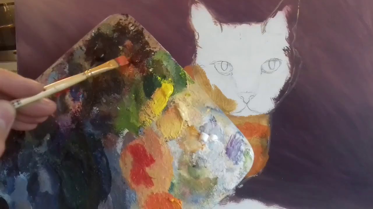 painting my Cat part 1 YouTube