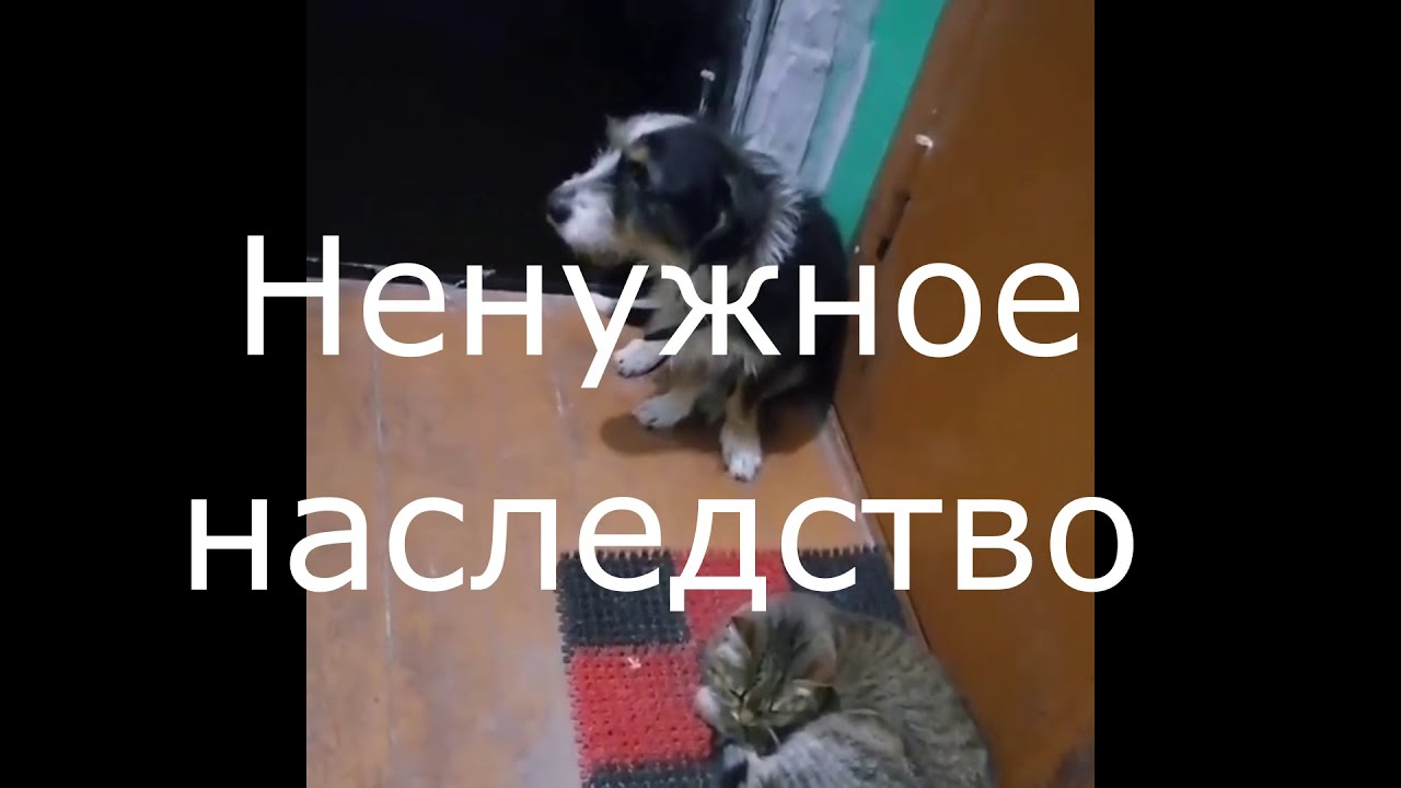 Наследник от ненужной читать