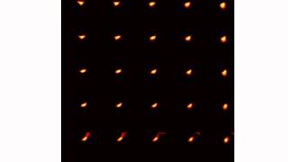 Receptive fields of 25 neurons-DNF-SOM