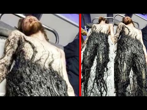 Top 10 Disturbing Forest Discoveries Humans Were Never Meant To See