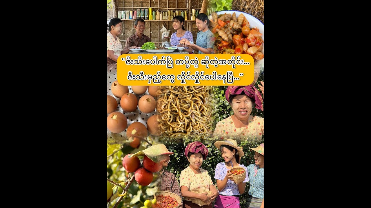 “ဇီးသီးကောက်အပြန် ပဲခေါက်ဆွဲ လုပ်စားမယ်…”