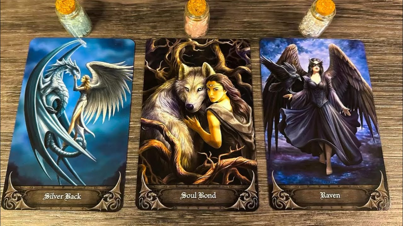 🔐😳Their TRUE Feelings REVEALED: BOND or CURSE?!💔♥️PICK A CARD💫📃🐦‍⬛Timeless Love Tarot Reading🕊️✨🐺