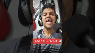 Tão seu - Skank