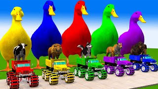 5 Giant Duck, Monkey, Piglet, chicken, dog, cat, cow, Sheep, Transfiguration funny animal 2023