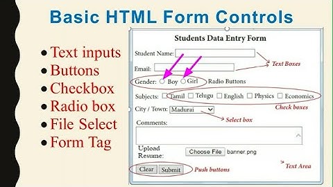XII Computer Applications |Forms and Files|Chapter 8| Shyni Pradeep