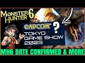 Monster Hunter 6 Reveal Date 