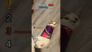 Ranking Best Unlucky Cats