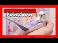 ✅ DOMESTICAR PERIQUITOS PASO A PASO 😱 ¡¡En sólo 5 minutos!!