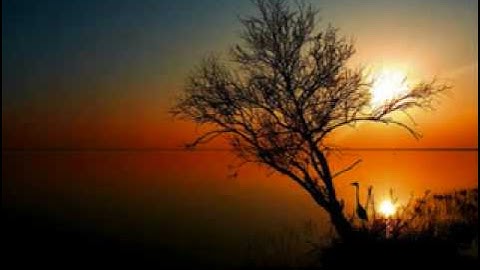 سورة البروج بصوت ماهرالمعيقلي - أترك لكم التعليق !!