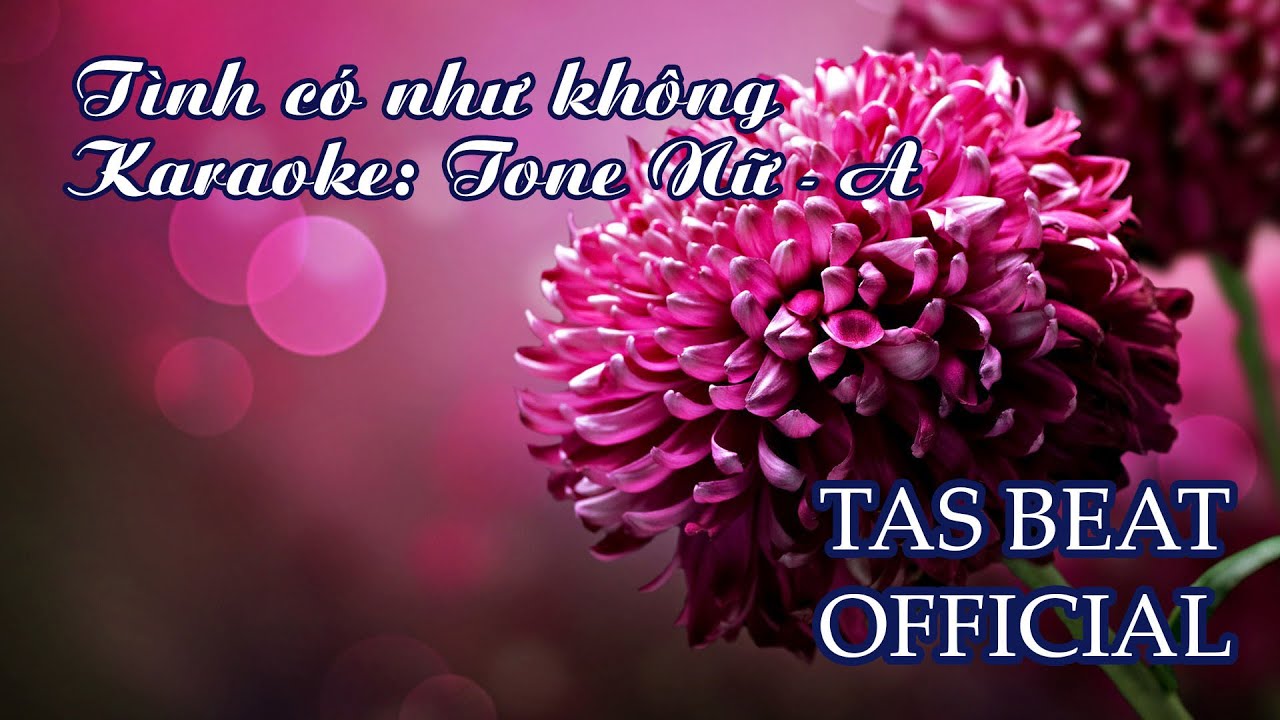 Karaoke Tình có như không - Tone Nữ | TAS BEAT - youtube