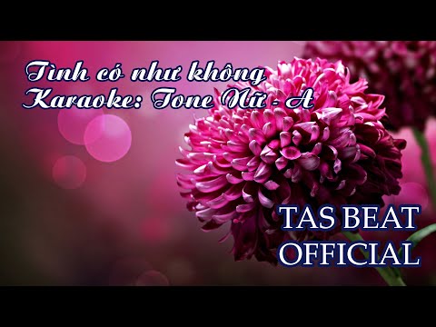 Video Karaoke Tình có như không - Tone Nữ | TAS BEAT - youtube