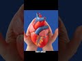 Insan ka dil kitna tez dhak dhak kr ta hai #shorts #shortvideo