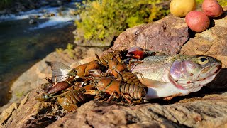 WILD TROUT and Cajun Crawfish Boil, ALONE in REMOTE WILDERNESS