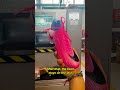 I saw Nike building the boots for their STAR players 🥹