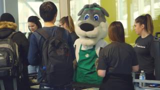 Teavana Hot Brewed Teas presented by Starbucks - Algonquin Students Association