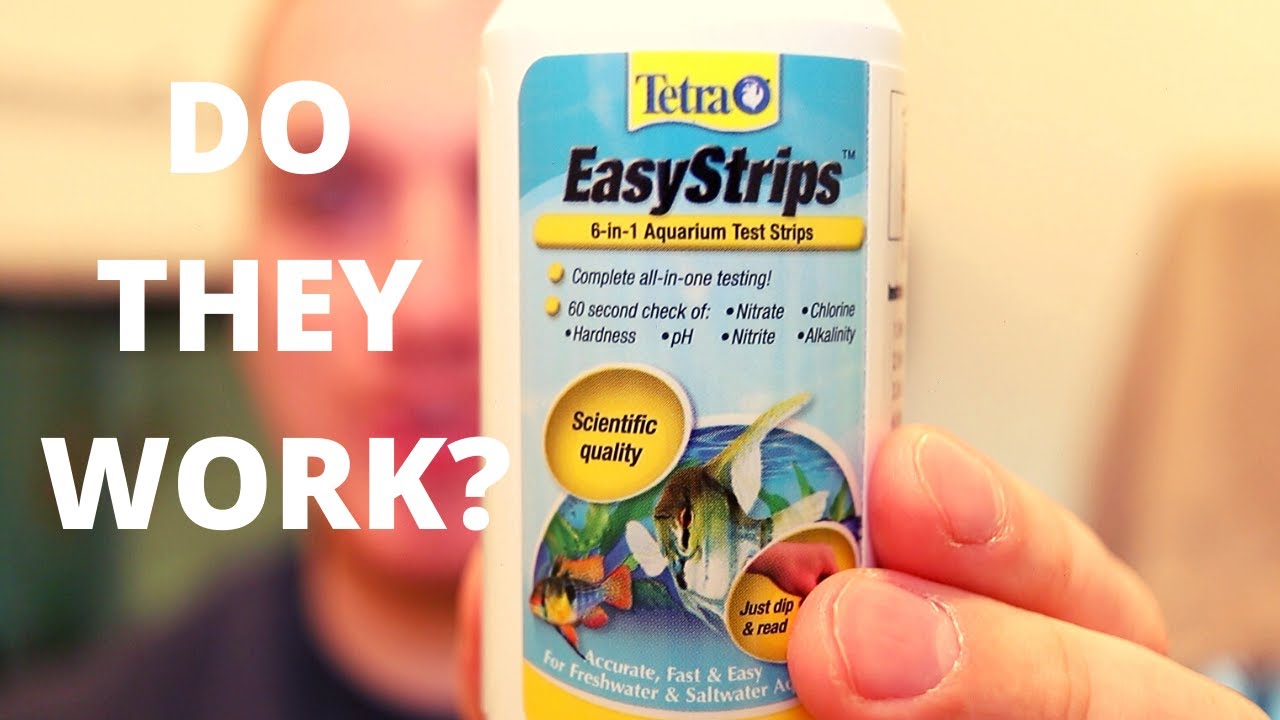 Tetra Easy Test Strips - Do They Work? - YouTube