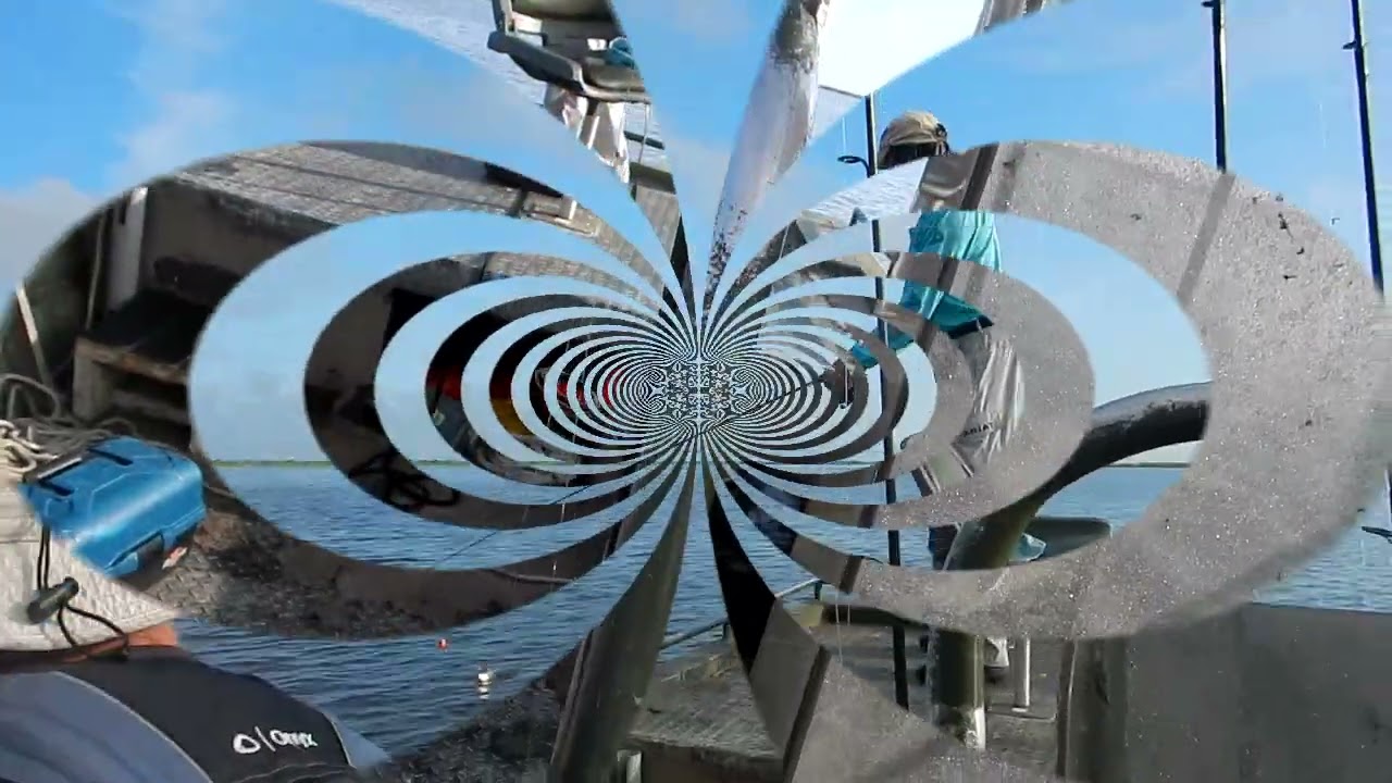 Silverwonder day Delacroix way