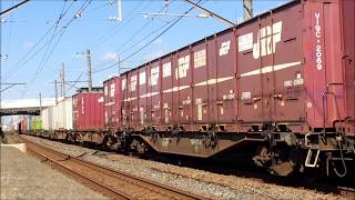 EF65 2057 新鶴見PF A72仕業 1091レ～1090レ
