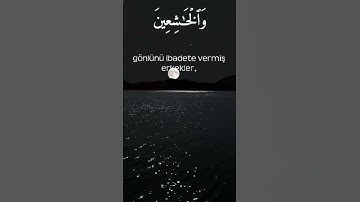 سورة الاحزاب_القارئ محمد لفيق القوري