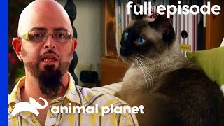 My Cat Hates My Boyfriend! | My Cat From Hell (Full Episode)