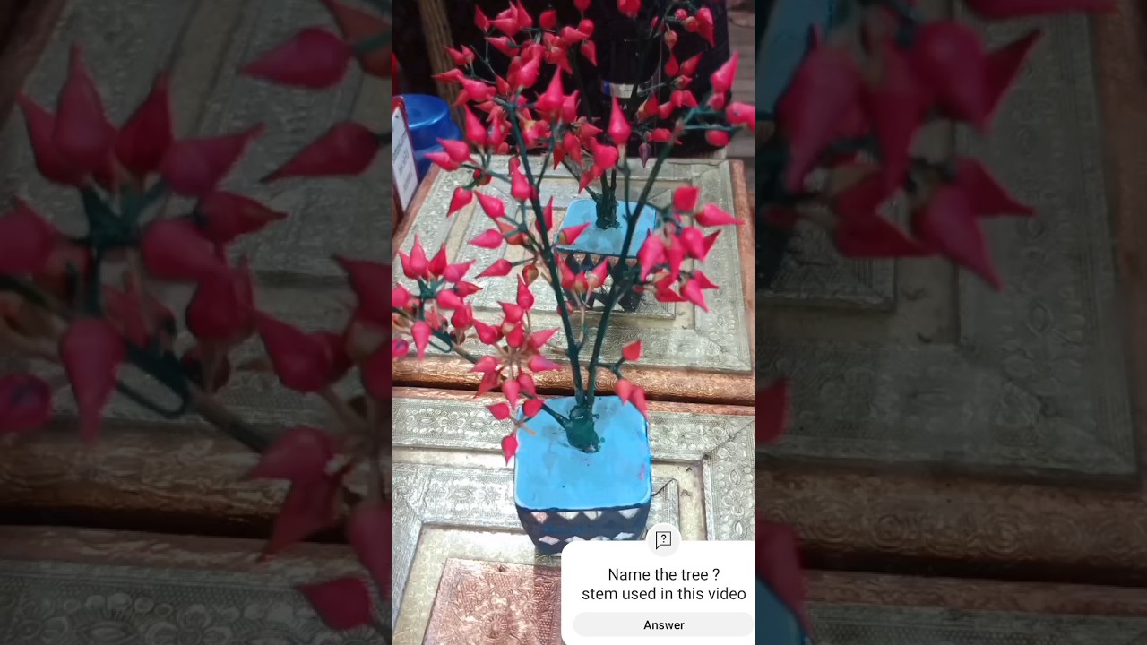 easy home decor ideas 