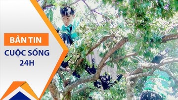 “Ngày hội hái quả” Mộc Châu có gì đặc biệt? | VTC1