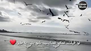 الرحيلي خط المدينه