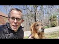 Python with Puppies (Lesson 4 - LOOPS)