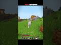 POV: Revenge 💀 | Minecraft | #minecraft #shorts #gaming