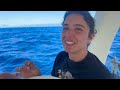 We're Sailing Back Against the Tradewinds