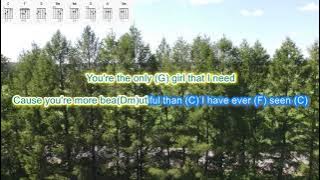 Evergreen by Westlife play along with scrolling guitar chords and lyrics