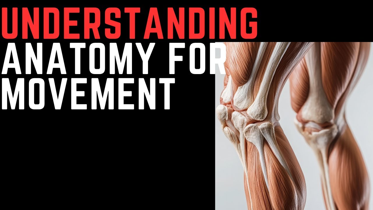 Master Anatomy for Movement (Bones→Muscles→Action!)