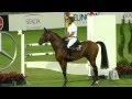 Quiwi Dream 2.Pl Jagdspringen CHIO Aachen 2014