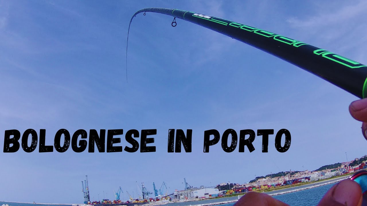 Pesca a bolognese in porto -pescata su alto fondale a bigattino