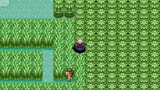 Pokémon Cheats:Surfing on land